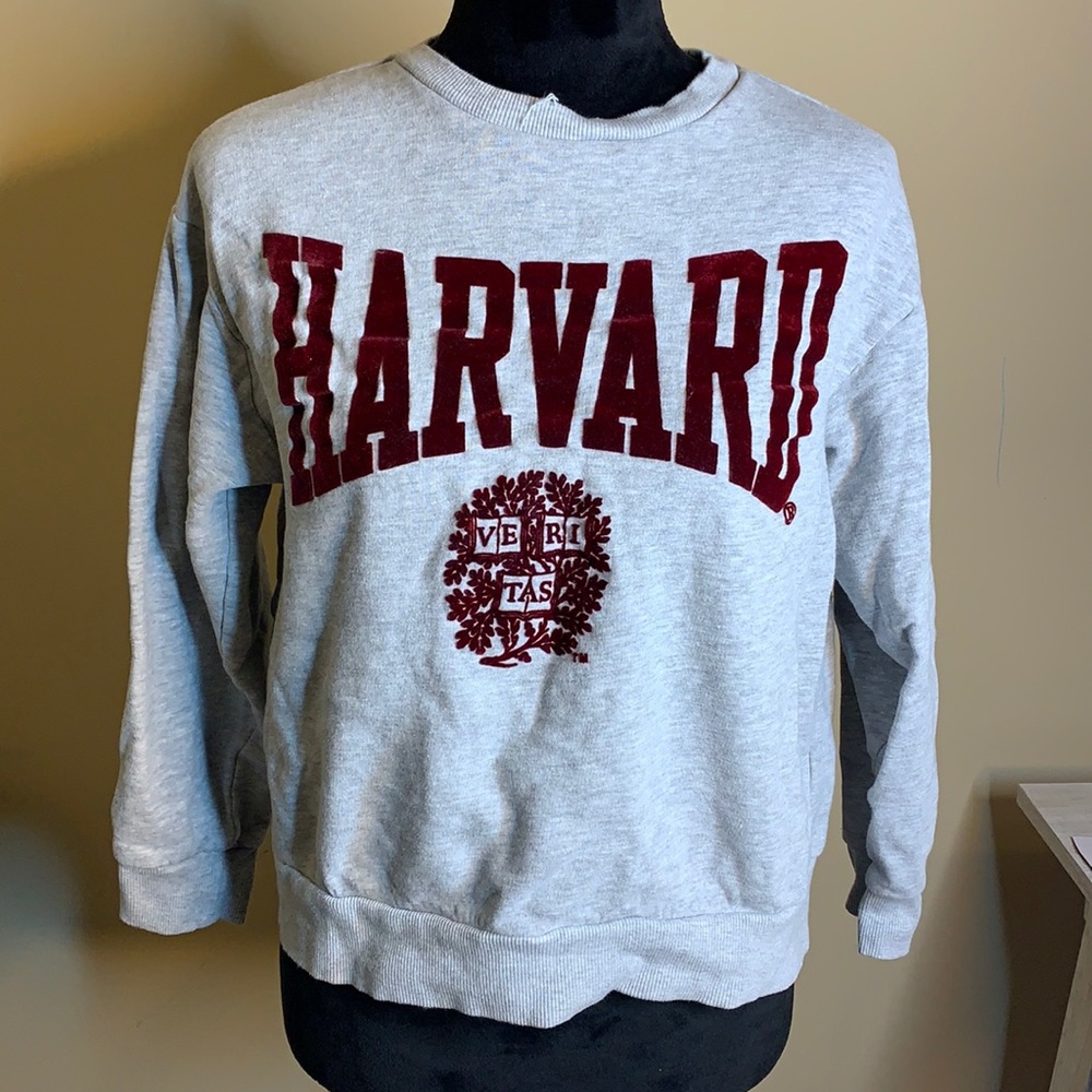 H&M Harvard Sweatshirt